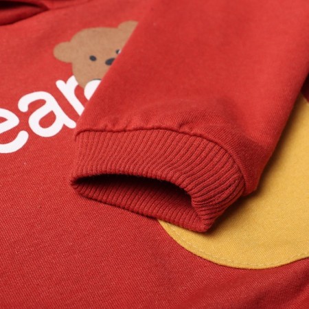 Kit for children (sweatshirt/trousers), brick color, height 74 cm-2