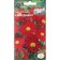 Flowers Pyrethrum "Comedian" 0.1 g