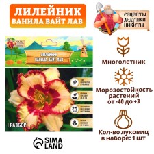 Лилейник "Vanilla With Love", р-р I, 1 шт,