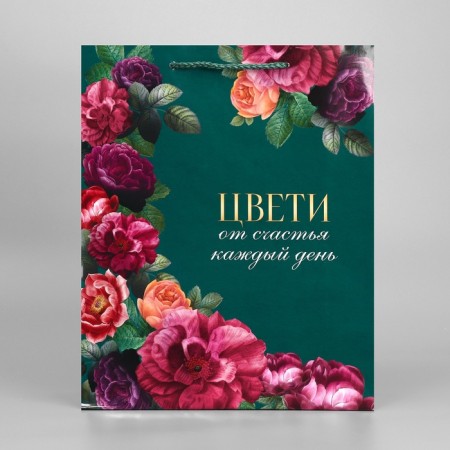 Gift package laminated, packaging, “every day”, m 24 x 29 x 9 cm-4