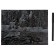 Big engraving with the effect of gold "Lisitsa on the Hunting"