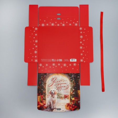 Box a gift New Year's folding bilateral “Winter will give miracles”, 20 x 18 x 5 cm, New Year-6