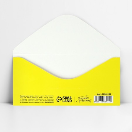 Money envelope "Happy Birthday", balls and animals, 16.5 x 8 cm-4