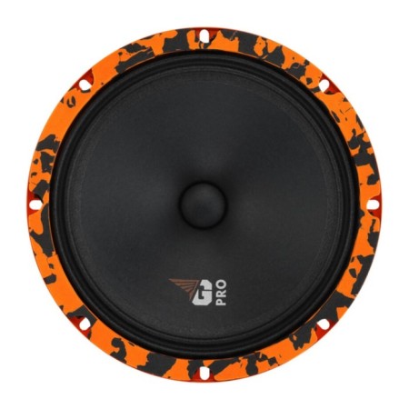 Acoustics-CC DL Audio Gryphon Pro 200-1