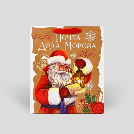 Laminated vertical packet "Mail Santa Claus", M 26 x 30 x 9 cm, New Year-2