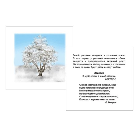 Seasons. Winter. 12 training cards-1