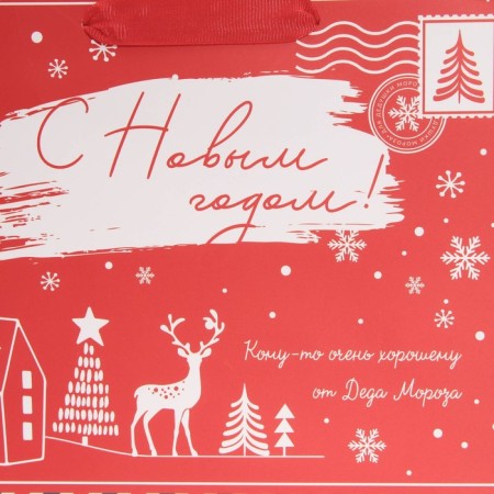 Laminated horizontal package "From Santa Claus", MS 18 x 23 x 10 cm, New Year-3
