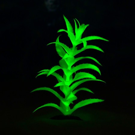 The plant is artificial aquarium, luminous, 20 cm, green-4