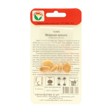 Seeds of pumpkin "Honey crumb", set 5 pcs-1