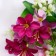 Bouquet "shallow galant" 4x27 cm, mix