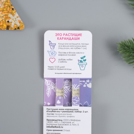 Growing gift pencils Mini "Blue spruce + chamomile" set 2 pcs.-3
