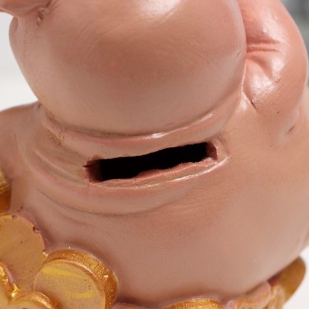 Pigger "Pig on a bag of money" 14.5cm-4