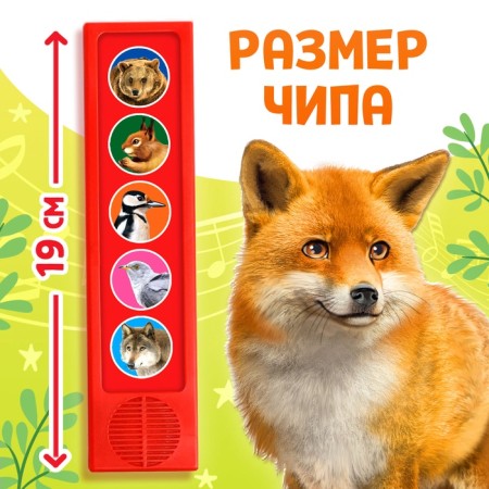Musical developing toy "Sounds of Forest", 5 buttons-1