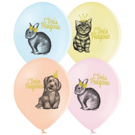 Shar Latex 14 “Happy Birthday!”, Pets, set of 50 pcs.-2