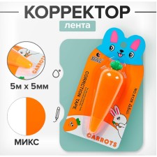 Correct corrector 