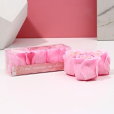 Soap for the hands of 