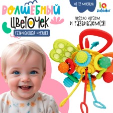 Developing toy 