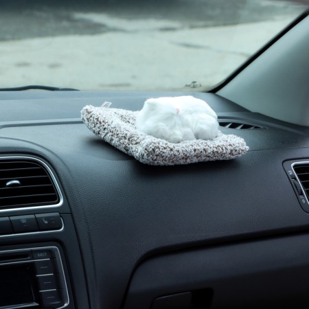 Toy on a car panel, a cat on a pillow, white color-3
