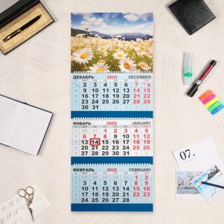 Quarterly calendar, chamomile trio 2025, 73 x 29 cm