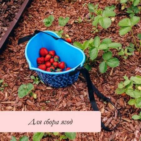 Container for collecting berries, 3 l, “blueberries”, blue-4