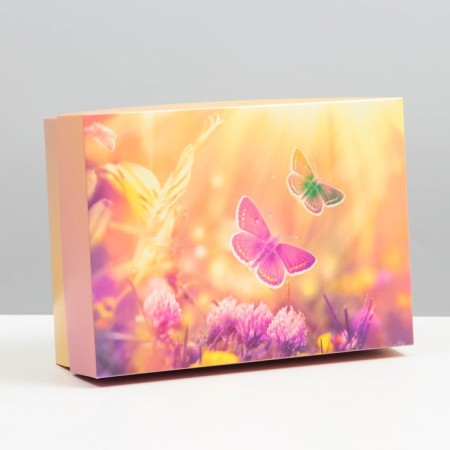Gift box, cover is, the team "Dawn", 21 x 15 x 7 cm