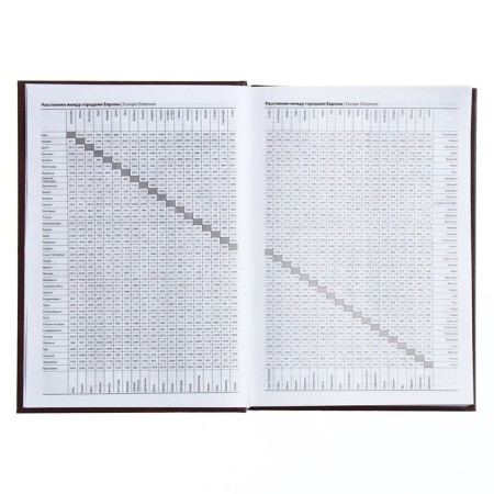 The diary half-dantered for 4 years A5, 192 leaf "Leather", solid cover, silk, coffee-brown-5