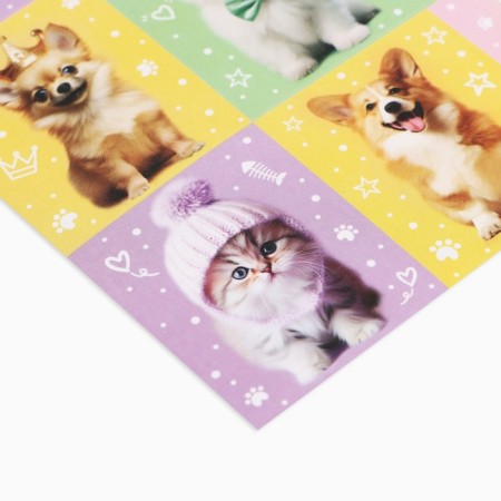 Paper stickers "cats and dogs", with coloring, 11 x 15.5 cm-3