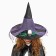 Carnival hat "Witch", Mix colors