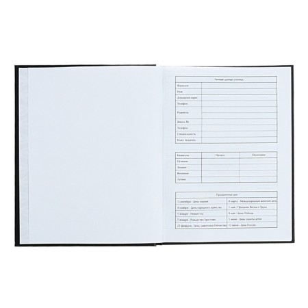 Diary for the MIXTAPE music school, 48 sheets, solid cover, matte lamination, foil embossing, offset block-3