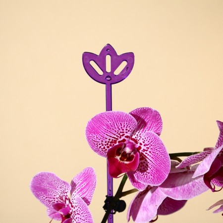 Support for orchids, h = 44 cm, plastic, purple, mix-11