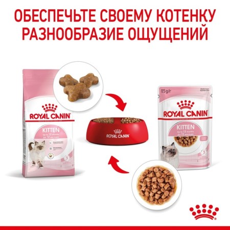 Wet feed RC Kitten Instinction for kittens, in sauce, spider, 85 g-8