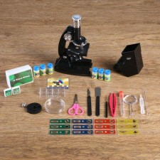 Microscope with the projector 