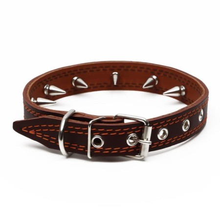 The leather collar "strict spike", 56 x 2.5 cm, Osh 35-45 cm, brown-1