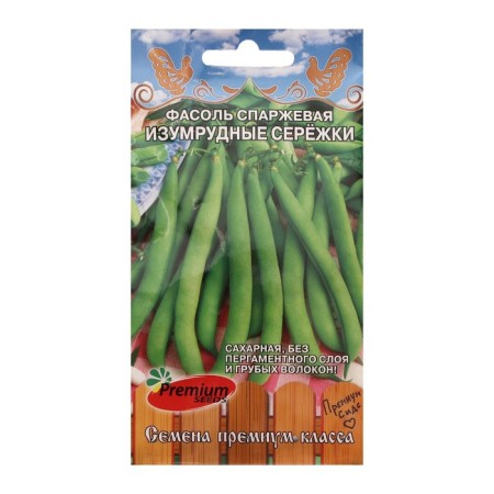 Seeds of beans Emerald earrings 4 g.
