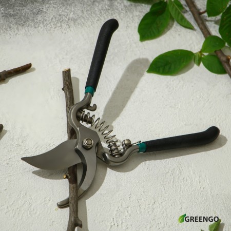 Planning coater, 8 "(20 cm), with metal handles, Greengo-9
