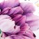 Stick plastic interior color "Large flowers" 30x60 cm