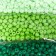 Round beads 6/0 "So different green" 5 colors x 20 g 20x8x0.7 cm