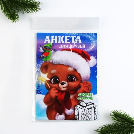 New Year. A5 questionnaire, 16 sheets, soft cover, "for friends"-12
