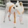 Complete raincoat for dogs, rr s (DS 25, OG 37 cm, weight 3-5 kg), transparent-orange
