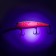 Wobbler Namazu Billy, L-120 mm, 18 g, mine, floating, 6.0-8.0 m, color No. 9