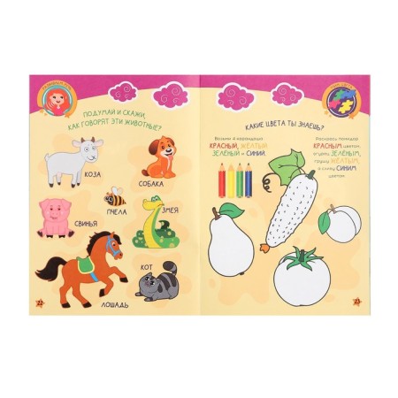 Little Wunderkinds "Develop Intelligence", 2-3 years-5