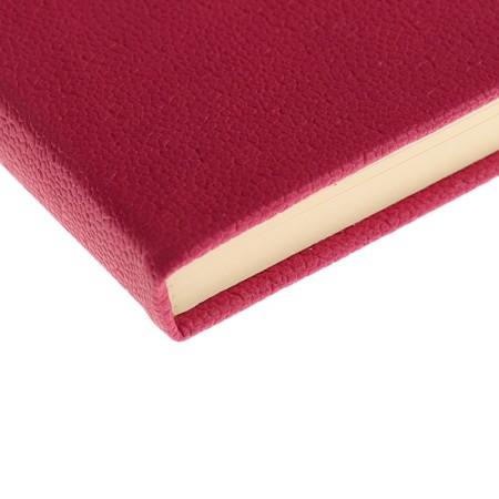 Deliciper of Leduced A6, 120 sheets in a ruler, PVC cover, mix-3