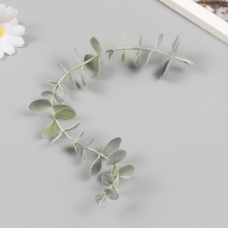 Decor for creativity "Vetochka eucalyptus" 28 cm