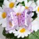 Butterflies for decor and floristry, on the clothespin, plastic, purple, mix, 5 cm and 8 cm