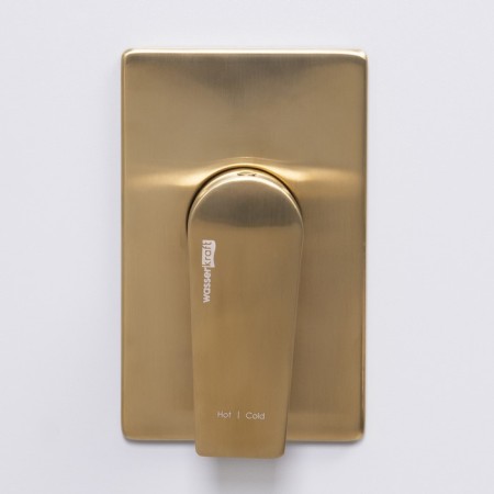 Shower mixer Wasserkraft Abens 5551, single -legged, watering can, without spout, gold-1