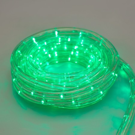 Luazon Lighting 10 mm light cord, IP65, 5 m, 24 LED/m, 220 V, 8 modes, Green glow-3