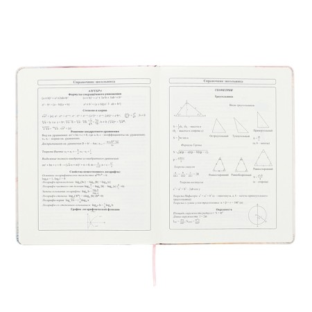 Universal diary for grades 1-11 Inspiration, hard cover, artificial leather, foil embossing, tinted block, 48 sheets-10