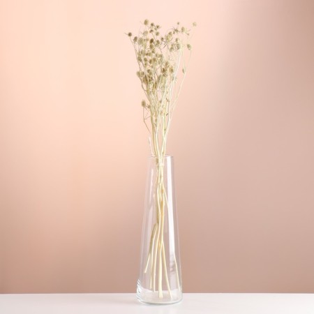 A set of dried flowers "Eringium", ban 5 pcs, length 50 (+/- 6 cm), bleached