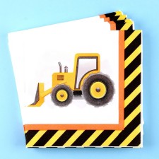Paper Napkins 