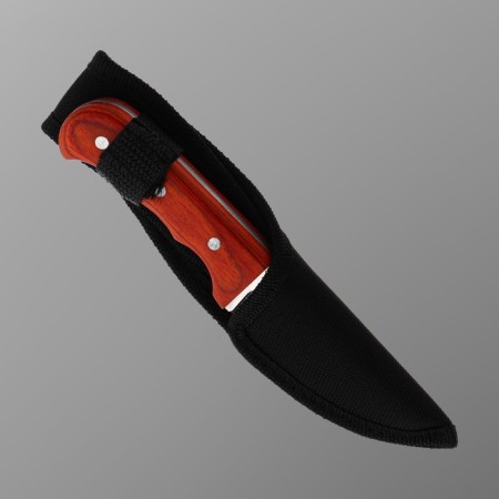 Tourist knife "Absalon" 16cm, blade 75mm/3mm, tree-2